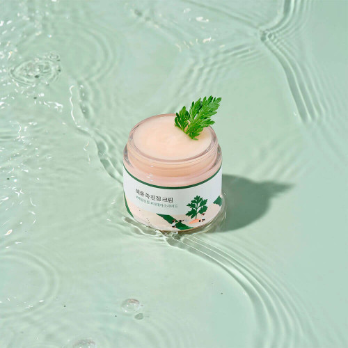Успокаивающий крем-гель с экстрактом полыни Round Lab Mugwort Calming Cream